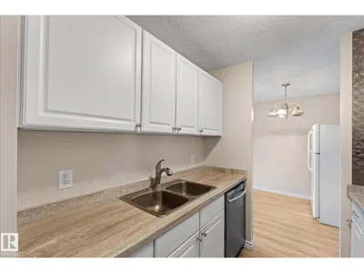 #102 13910 STONY PLAIN RD NW photo 14