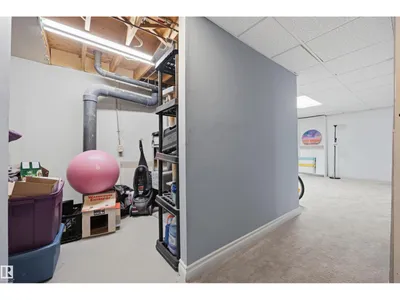 #3 18315 89 AV NW photo 26