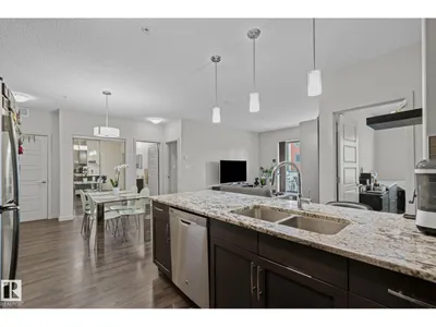 #207 320 Ambleside LI SW photo 8