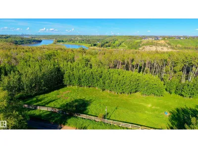 20211 9 AV SW photo 68