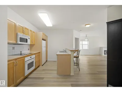 #317 11039 83 AV NW photo 5