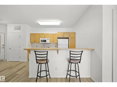 #317 11039 83 AV NW photo 7