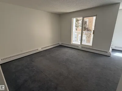 #213 17467 98A AV NW photo 9