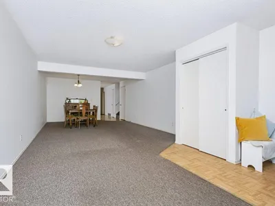10057 91 AV NW NW photo 55