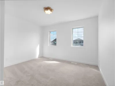 1733 Crossbill LO NW photo 39