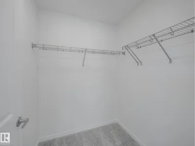 65 Rosa CR photo 26