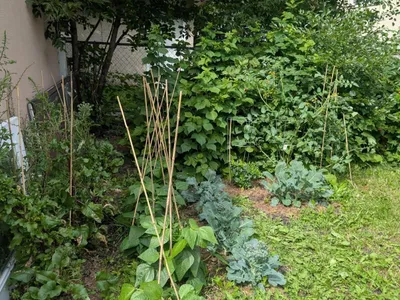 11724 88 ST NW photo 27