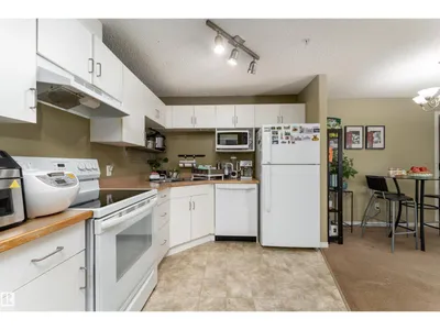 #231 11325 83 ST NW photo 9