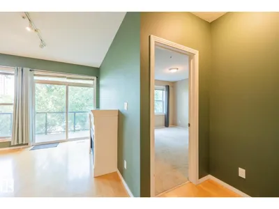 #412 11039 83 AV NW photo 13