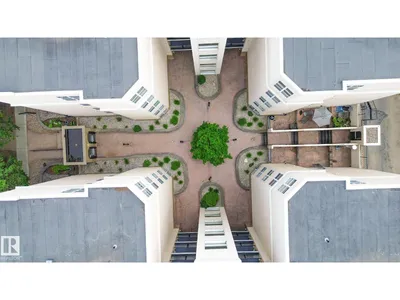 #412 11039 83 AV NW photo 31