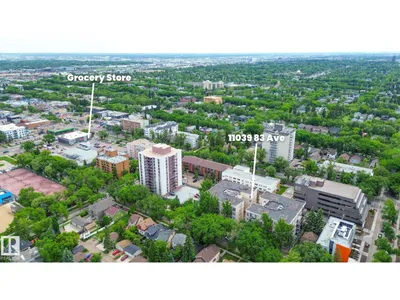 #412 11039 83 AV NW photo 32