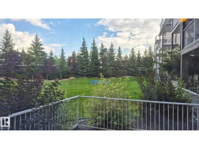 #422 151 EDWARDS DR SW photo 39