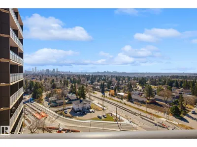 #1413 13910 STONY PLAIN RD NW photo 59