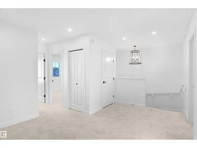 261 Falcon CR photo 15
