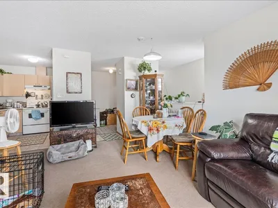 #106B 114 Westpark DR photo 9