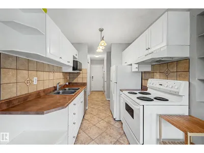 #16 11219 103A AV NW photo 19