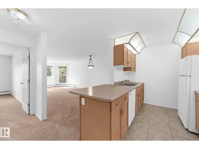 #225 10511 42 AV NW photo 11