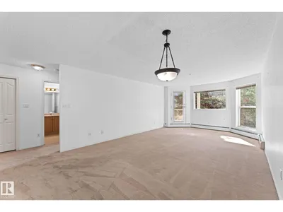 #225 10511 42 AV NW photo 18