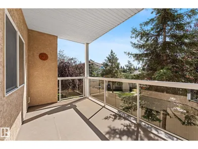 #225 10511 42 AV NW photo 29