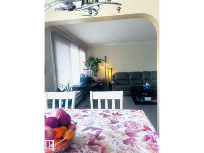 #306 11420 40 AV NW photo 5