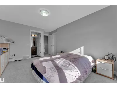 9919 217 ST NW photo 24