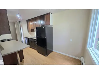 #207 10415 93 ST NW NW photo 7