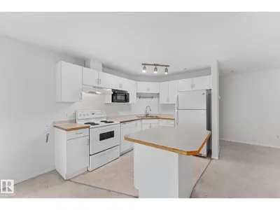#417 11325 83 ST NW photo 19