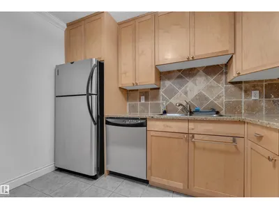 #304 10165 113 ST NW photo 11