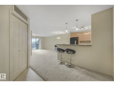 #311 17407 99 AV NW photo 13
