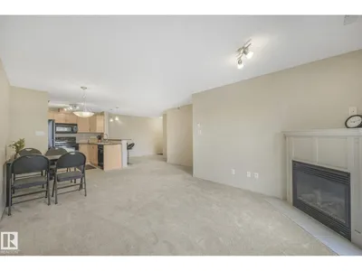 #311 17407 99 AV NW photo 16