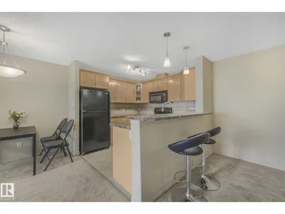 #311 17407 99 AV NW photo 18