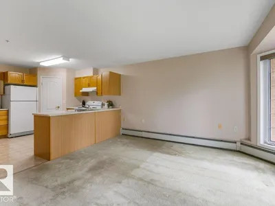 #157 13441 127 ST NW photo 9