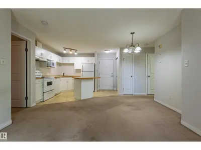 #316 11325 83 ST NW photo 12