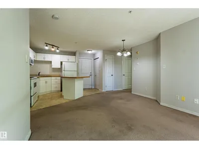 #316 11325 83 ST NW photo 16