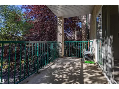 #316 11325 83 ST NW photo 28