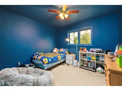 10621 60A AV NW photo 14