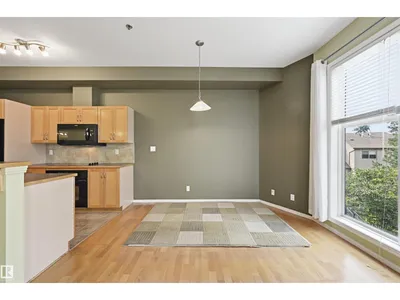 #248 4827 104A ST NW photo 13