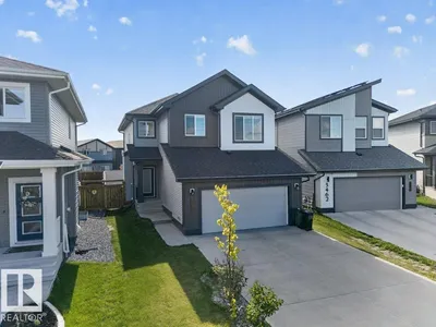 3464 CHECKNITA TC SW photo 61