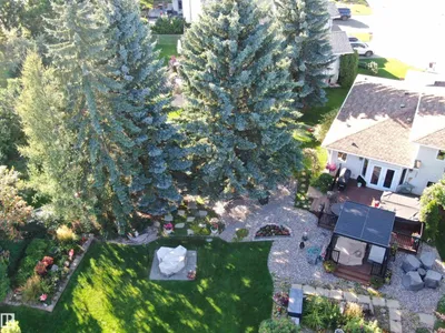 56 STONESHIRE CR photo 31