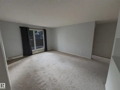 #115 11620 9A AV NW NW photo 13