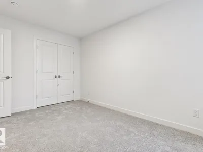 91 Rosa CR photo 16