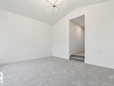 91 Rosa CR photo 21