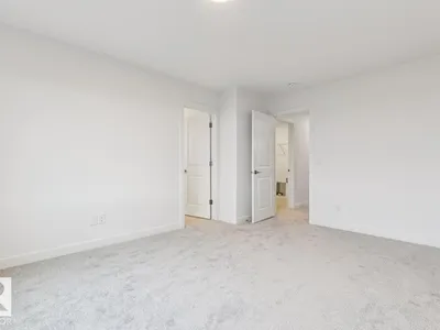 91 Rosa CR photo 11