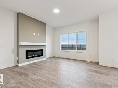 91 Rosa CR photo 4