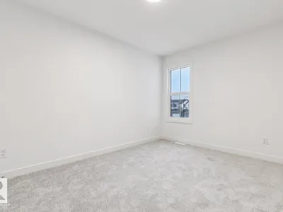 91 Rosa CR photo 17