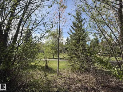 13 NEWBURY CO photo 50