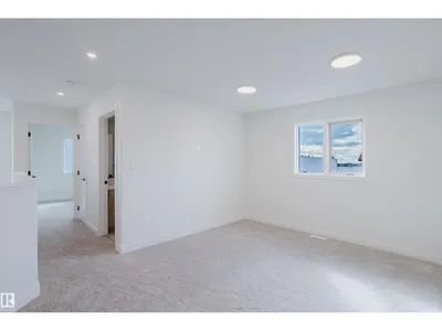 1429 Osprey CO NW photo 31
