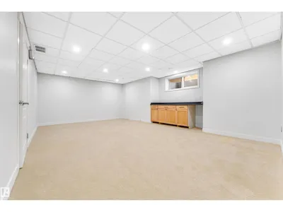 10621 175A AV NW photo 52