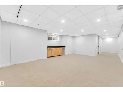 10621 175A AV NW photo 53