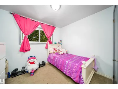10245 160 ST NW photo 23